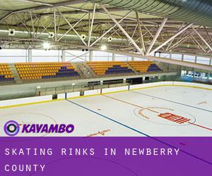 Skating Rinks in Newberry County