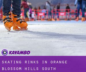Skating Rinks in Orange Blossom Hills South