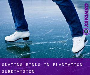 Skating Rinks in Plantation Subdivision