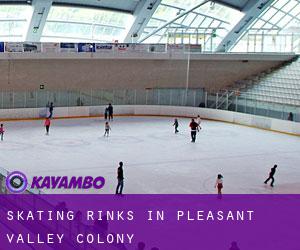 Skating Rinks in Pleasant Valley Colony