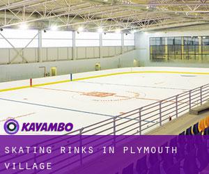 Skating Rinks in Plymouth Village