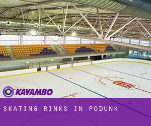 Skating Rinks in Podunk