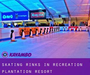 Skating Rinks in Recreation Plantation Resort