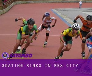 Skating Rinks in Rex City