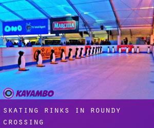 Skating Rinks in Roundy Crossing