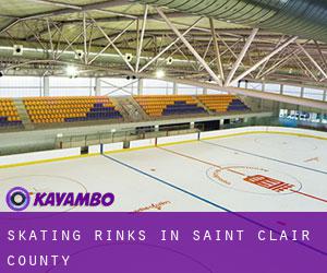 Skating Rinks in Saint Clair County