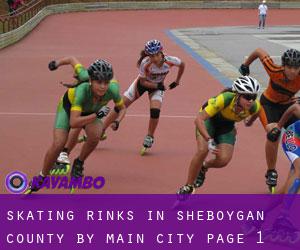 Skating Rinks in Sheboygan County by main city - page 1