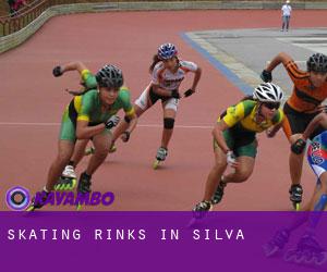 Skating Rinks in Silva