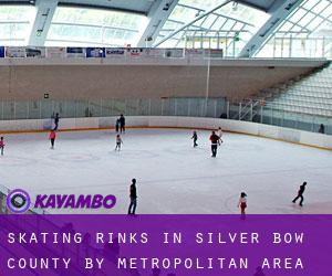 Skating Rinks in Silver Bow County by metropolitan area - page 1