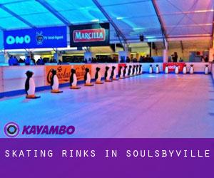 Skating Rinks in Soulsbyville