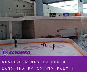Skating Rinks in South Carolina by County - page 1