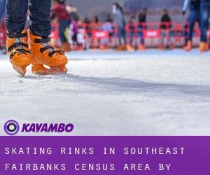 Skating Rinks in Southeast Fairbanks Census Area by metropolitan area - page 1