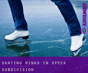 Skating Rinks in Speck Subdivision