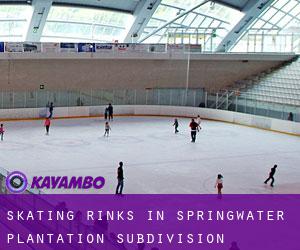 Skating Rinks in Springwater Plantation Subdivision