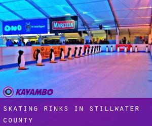 Skating Rinks in Stillwater County
