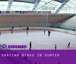 Skating Rinks in Sumter Skating Rinks in Sumter