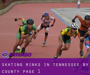 Skating Rinks in Tennessee by County - page 1
