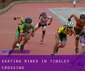 Skating Rinks in Tinsley Crossing