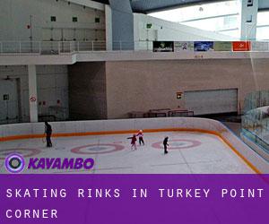 Skating Rinks in Turkey Point Corner