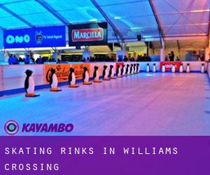 Skating Rinks in Williams Crossing