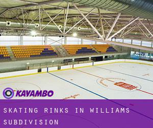 Skating Rinks in Williams Subdivision