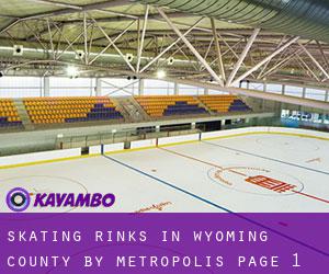 Skating Rinks in Wyoming County by metropolis - page 1