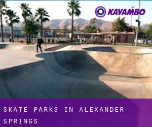 Skate Parks in Alexander Springs