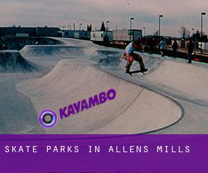 Skate Parks in Allens Mills