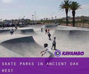 Skate Parks in Ancient Oak West