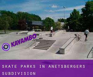 Skate Parks in Anetsberger's Subdivision
