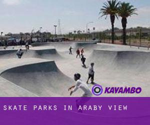 Skate Parks in Araby View