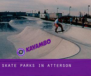 Skate Parks in Atterson