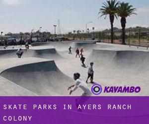 Skate Parks in Ayers Ranch Colony