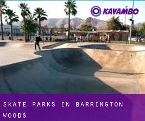 Skate Parks in Barrington Woods