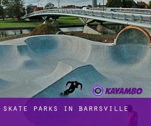 Skate Parks in Barrsville