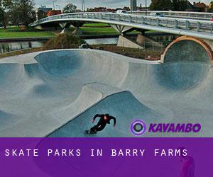 Skate Parks in Barry Farms