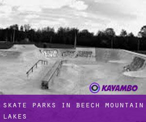 Skate Parks in Beech Mountain Lakes