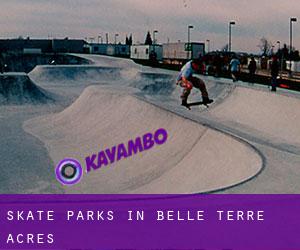 Skate Parks in Belle Terre Acres