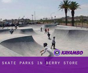 Skate Parks in Berry Store