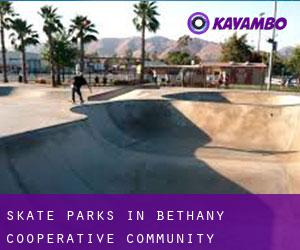 Skate Parks in Bethany Cooperative Community