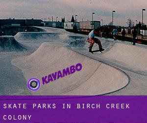 Skate Parks in Birch Creek Colony