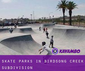 Skate Parks in Birdsong Creek Subdivision
