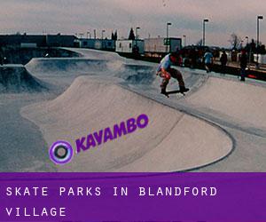 Skate Parks in Blandford Village