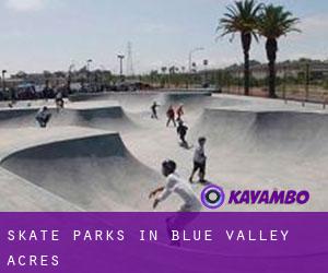 Skate Parks in Blue Valley Acres