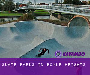 Skate Parks in Boyle Heights