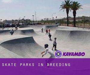 Skate Parks in Breeding