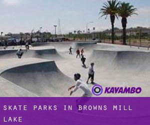 Skate Parks in Browns Mill Lake