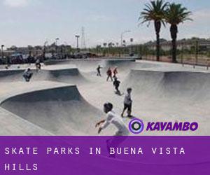 Skate Parks in Buena Vista Hills