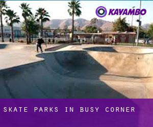 Skate Parks in Busy Corner