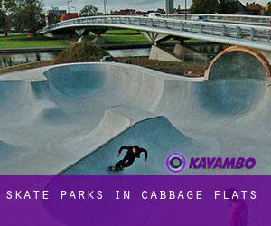Skate Parks in Cabbage Flats
